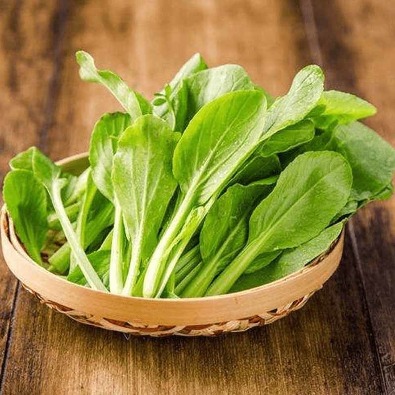 镇江食材批发